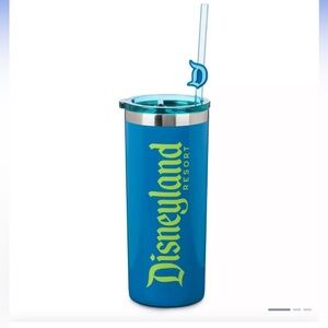 Disneyland Stainless Steel Tumbler with Straw and Charm